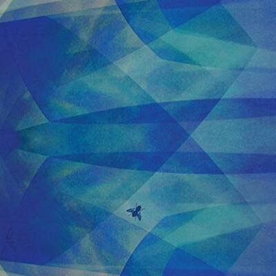 Bluefly by Baptista, Cyro (CD, 2016)