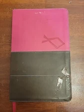 NIV Discover Jesus in Every Book of the Learning Bible