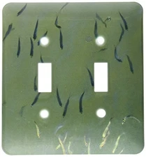 3dRose LSP_7339_2 Schools Out Double Toggle Switch Multicolor