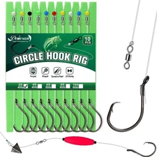 Dovesun 10PCS Circle Hooks Rigs Pre-Rigged Catfish Rig for Saltwater Freshwat...