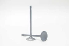 Safety Auto Parts VX25-314 One Exhaust Valve