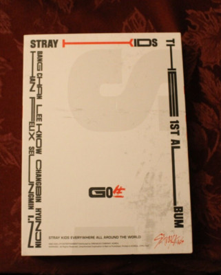 Stray Kids GO ~2020 Book, Photos, & CD BOX SET ~ Everywhere around