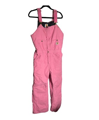30 x 30 carhartt bibs