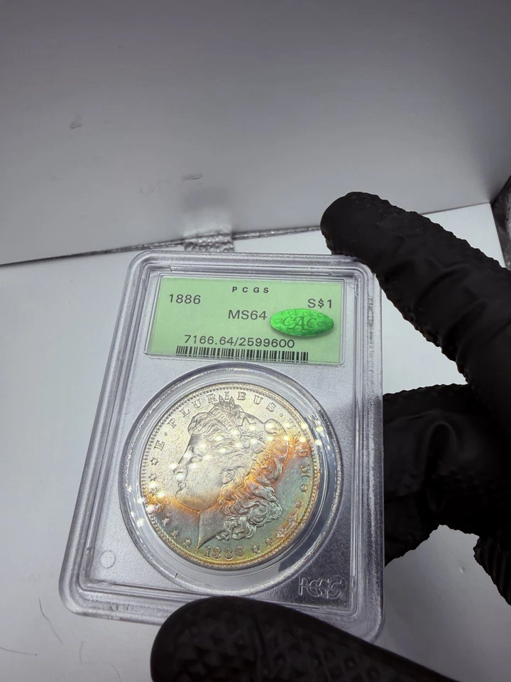 1884 $1 Morgan Silver $1  MS 64 CAC RAINBOW CRESCENT MONSTER TONER!! Best Toners - Image 3 of 4