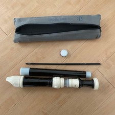 Yamaha Recorder Case