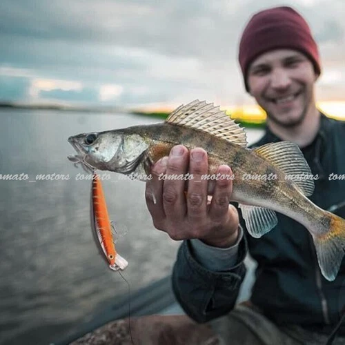10Pcs/Set Fishing Lures Unique Crankbaits Hooks Minnow Baits Tackle Crank - Picture 3 of 18