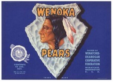 WENOKA Vintage Washington Pear Crate Label, Indian, ***AN ORIGINAL LABEL***
