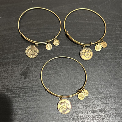 ALEX AND ANI Disney Bangle Bracelet Set Of 3 Gold Tone EPCOT CRUSIE LINE VACATIO