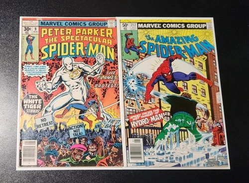 Spider-Man Comic Lot (Amazing Spiderman 212 Spectacular Spiderman 9)