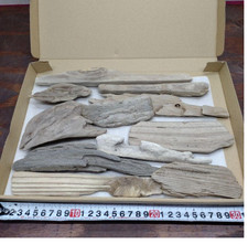 Driftwood from Japan Surf-Tumbled A wooden stick carved by the waves