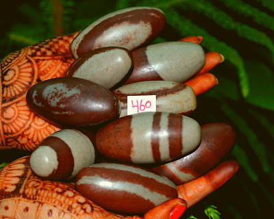 2'',3''Mix Narmadeshwar Shiva Lingam Stone Narmada River India Hindu God Shiva=460