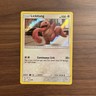 Lickitung Holo 16/18 LP Detective Pikachu 2019 Pokemon Card