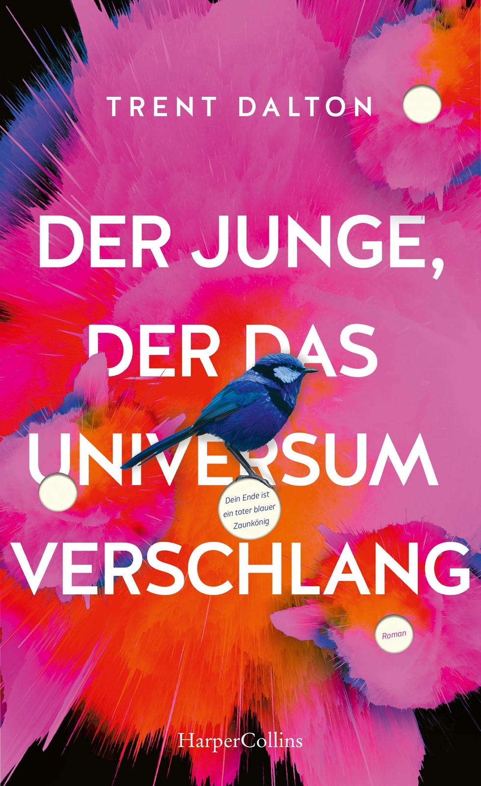 Thumbnail - Der Junge, Der Das Universum Verschlang, Trent Dalton