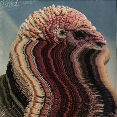 Holy Fuck / BIRD BRAINS (LTD. 10 INCH) / INNOVATIVE LEISURE / IL1188V / 10 Inch