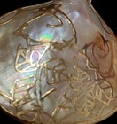 The Blue Lagoon House Large Shell Vintage Pendant Seashell Jewelry RARE FIND — photo 2