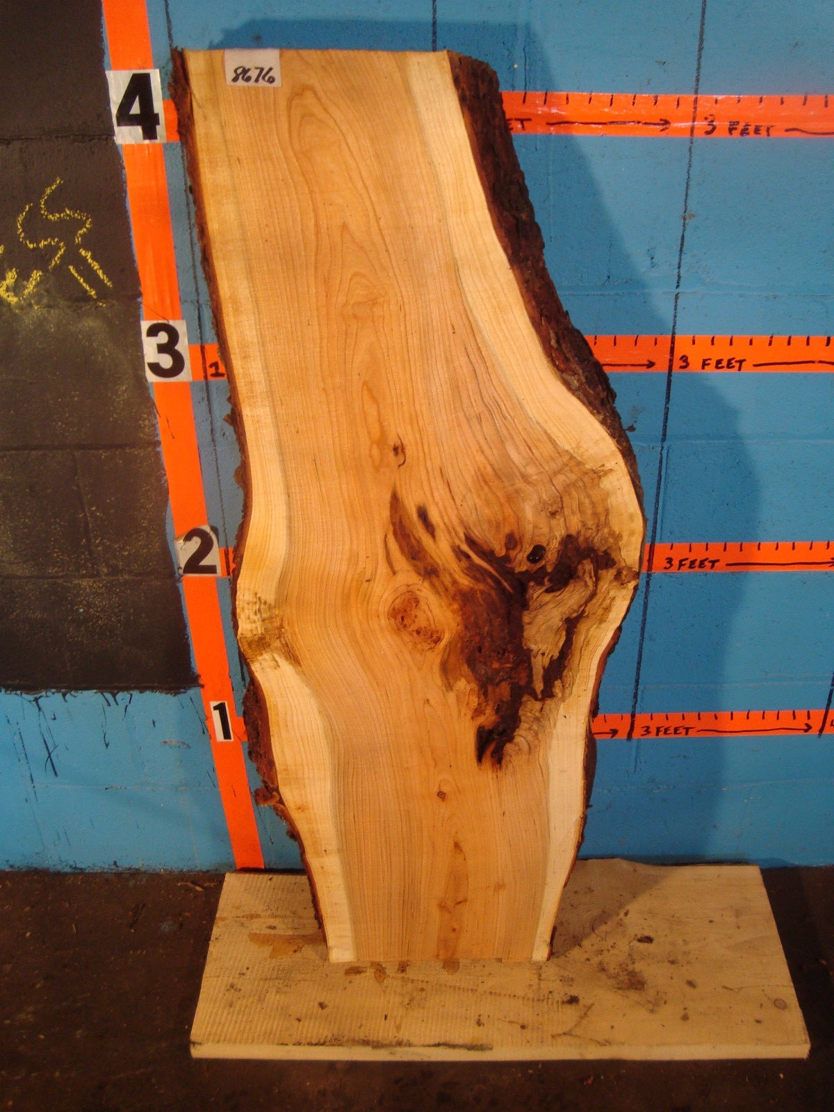 8676 3 1/4 " thick wild black cherry burl live edge slab lumber wood
