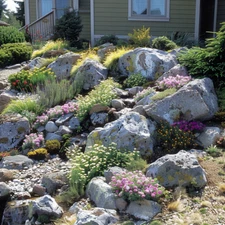 Custom Alpine Garden Design - Detailed Plant List & Support