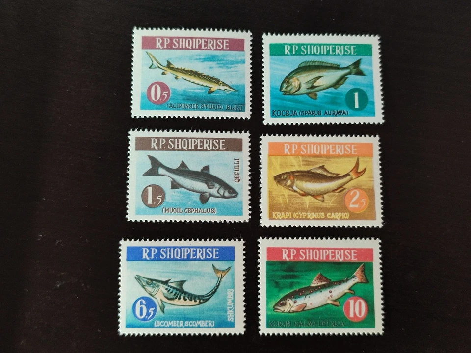 5695 - Albanien - 1964 - Mi 809 / 814 - Tiere Fische - MNH - Bild 1 von 1