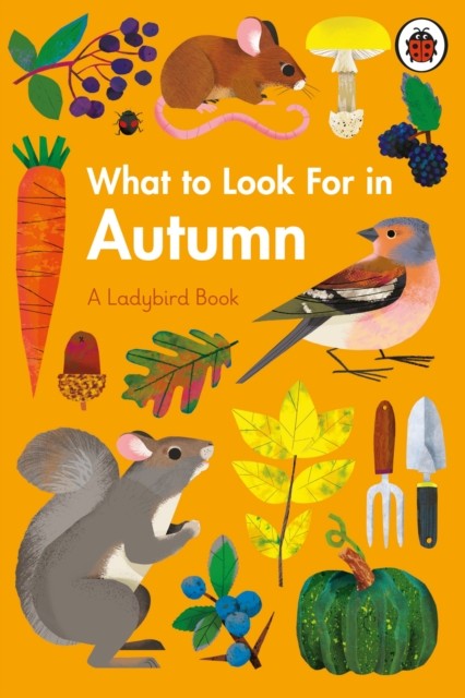 What to Look For in Autumn (A Ladybird Book) - Image 3