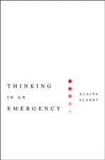 THINKING IN AN EMERGENCY (NORTON GLOBAL ETHICS SERIES) By Elaine Scarry **NEW**