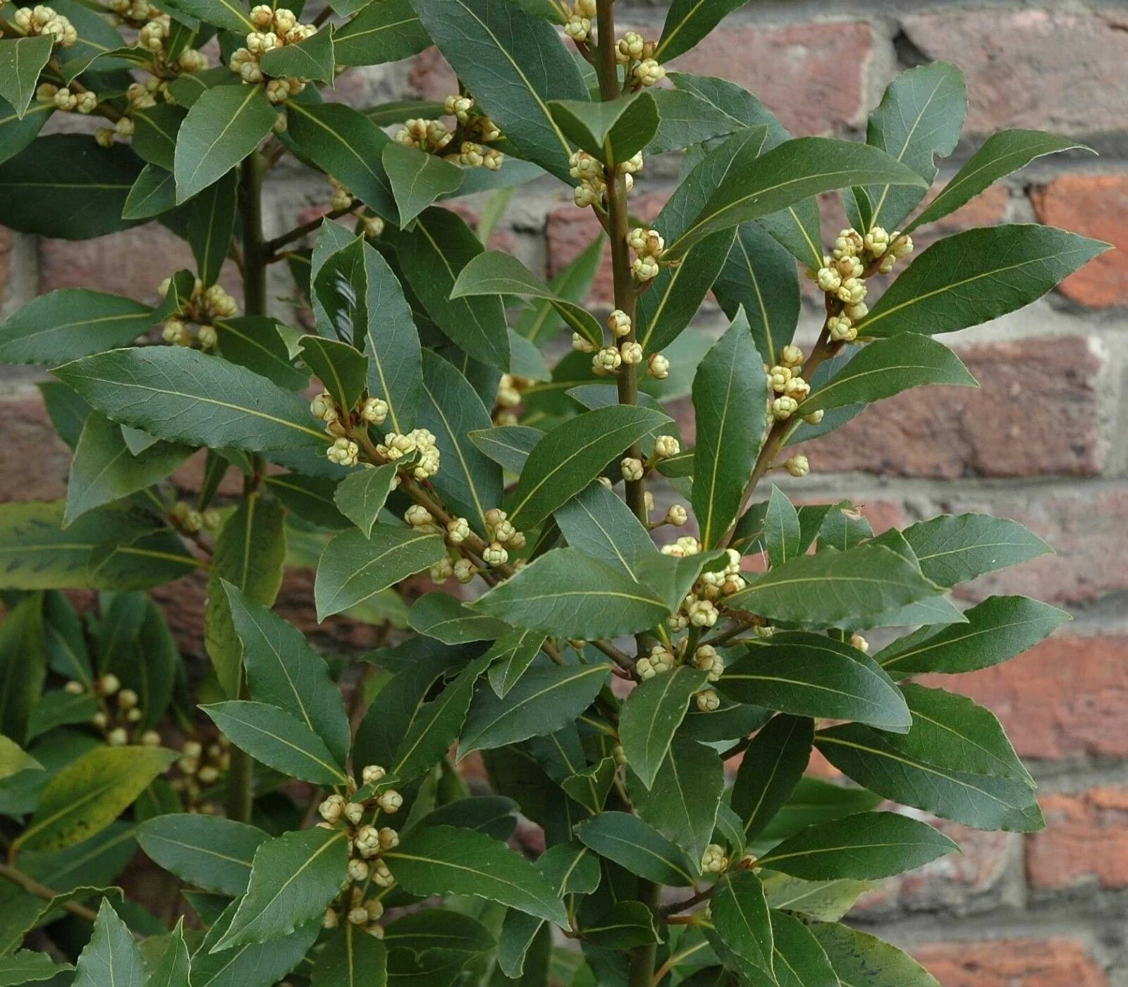 Foto 2 di 3