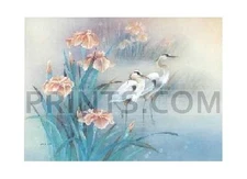 Lena Liu Herons and Irises