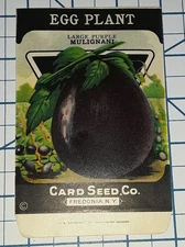 1920s EGG PLANT Vegetable Seed Packet - NOS Fredonia Ny Vintage Brand Co Us Farm