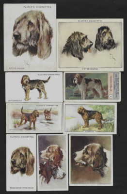 9 Different Vintage OTTERHOUND Tobacco/Cigarette/Tea Dog Cards Lot