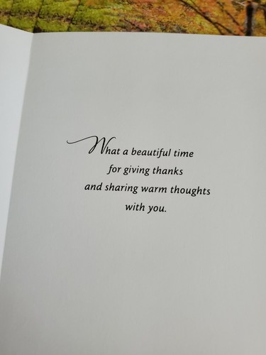 (5) Single Like Happy Thanksgiving Cards with Envelopes Lot #9 - Picture 2 of 2