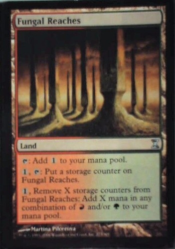 Fungal Reaches - Time Spiral: #273, Magic: The Gathering Lp R97 - Picture 1 of 1