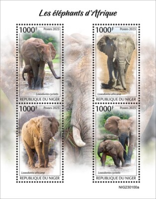 African Elephants MNH Stamps 2023 Niger M/S | eBay