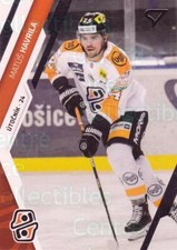 Tipos de zoológico deportivo eslovaco Extraliga #219 Matus Havrila 2023-24