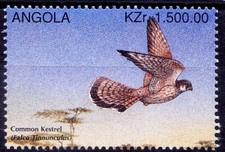Angola 1996 MNH, Birds of Prey, Raptors, Common Kestrel