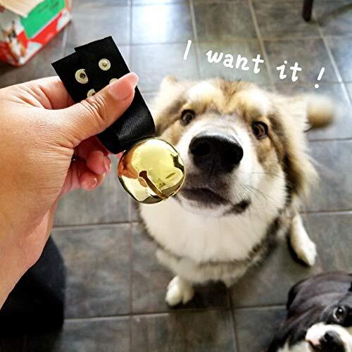 Large Dog Collar Bell for Training, Hiking, Walking, L(1.5 inches) Gold/Silver - Bild 4 von 6