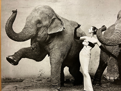 Dovima with Elephants, Evening Dress by Dior 1955 Richard Avedon Art Print 23x30 | eBay Dovima with Elephants, Evening Dress by Dior 1955 Richard Avedon Art Print 23x30 | eBay