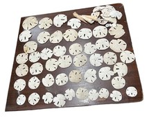 Sand Dollar Lot 45 Pieces Plus Beach Decor Sea Shells