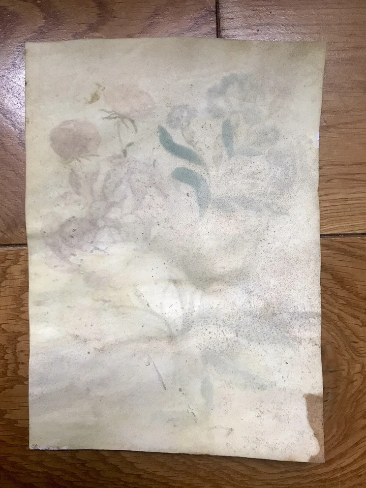 ÉCOLE FRANÇAISE DESSIN ANCIEN GOUACHE SUR VÉLIN FLEURS XVIII 18eme MINIATURE - Photo 3/4