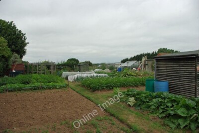 Foto 6x4 Kleingärten, Wick Littlehampton Die lokale Spezialität des Marktes g c2010