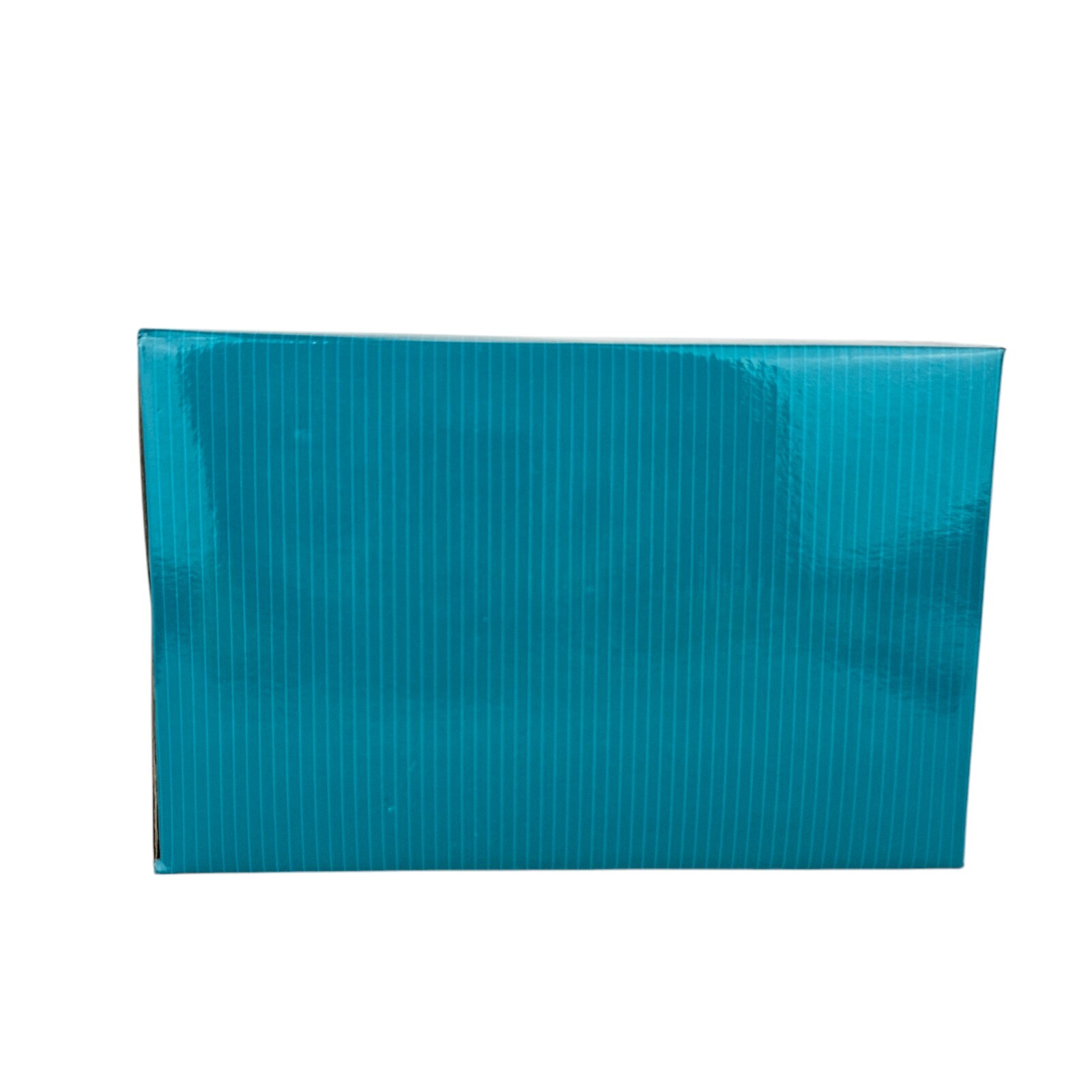 WDCC Walt Disney Classics Collection Minnie Mouse On Ice  Whee! w/ Box & COA