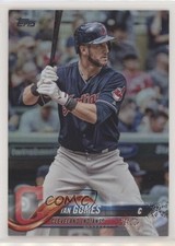 2018 Topps Rainbow Foil Yan Gomes #353 01w1