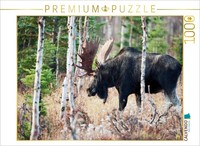 Calvendo Puzzle The Vagabond | 1000 Pieces, Finished Size 25.2 × 18.9 In (64 × 4