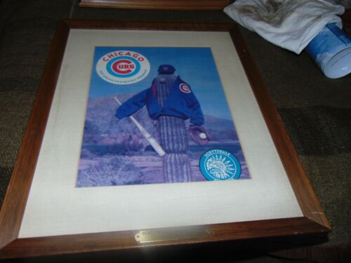 Rare Mint & Framed Chicago Cubs Spring training Program 1977 Scottsdale AZ