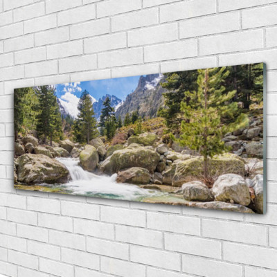 Acrylglasbilder Wandbilder Druck 125x50 Gebirge Wald Steine See Natur