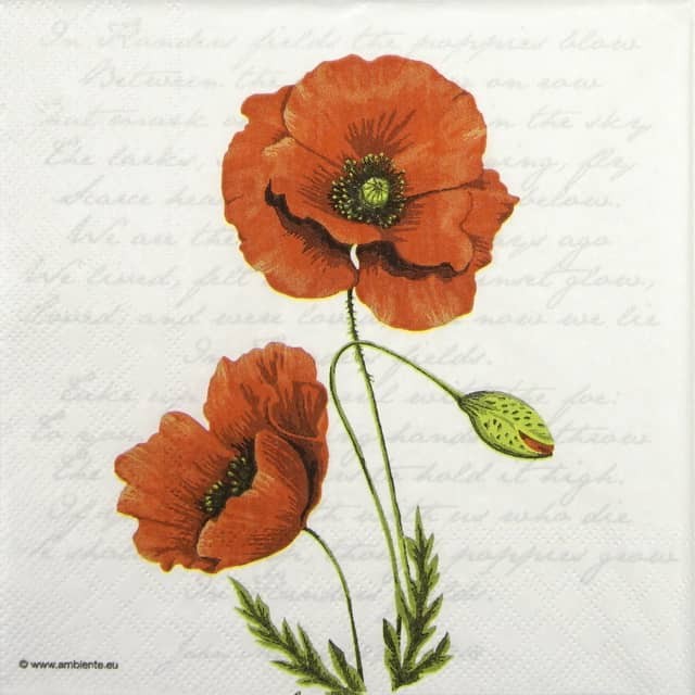 4x Cocktail Napkins 25x25cm  Proud Poppy Design for Decoupage Floral DIY Craft