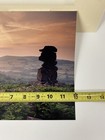 Picture 11 of 12