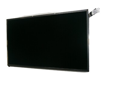 Original Laptop LCD Display für HP Pavilion DV6-2005SG   15,6''   gebraucht