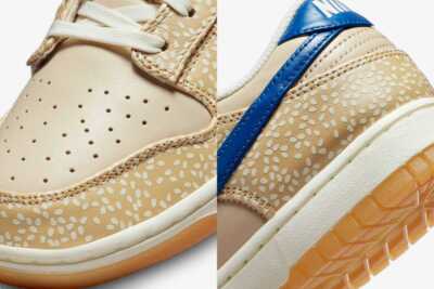 Off The Hook × Nike Dunk Low PRM Montreal Bagel DZ4853-200 Men