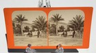 NICE FRANCE QUAI DES PALMIERS (PALM TREE QUAY) VIEW OF RIVERBED STEREOVIEW — photo 1