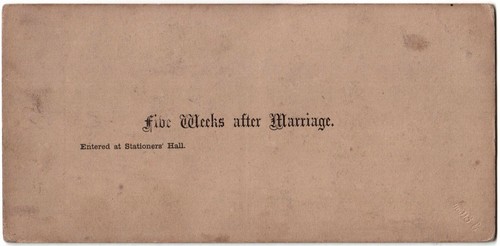 Genre.Five Weeks after Marriage.Photo Stereo.Albumen Stereoview.1860 by Elliott. - Picture 2 of 3