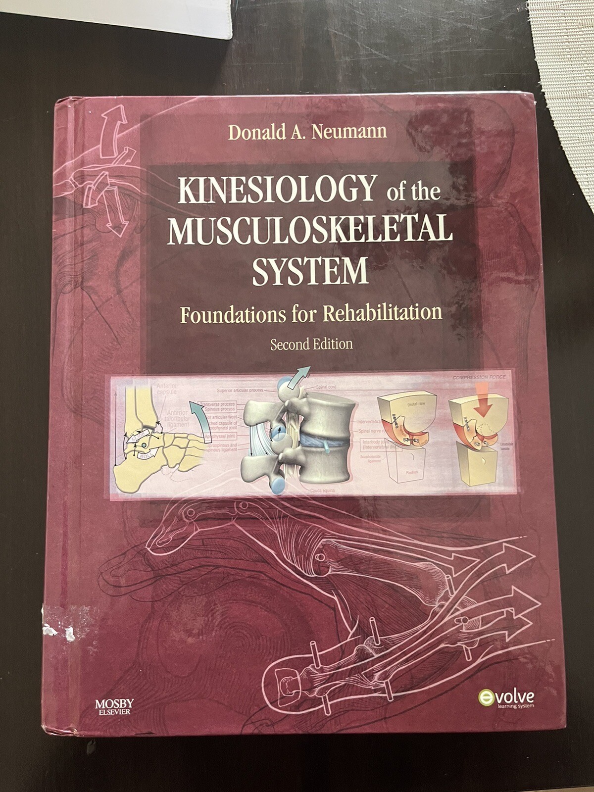 Kinesiology of the Musculoskeletal System : Foundations for Rehabilitation by Donald A. Neumann ...